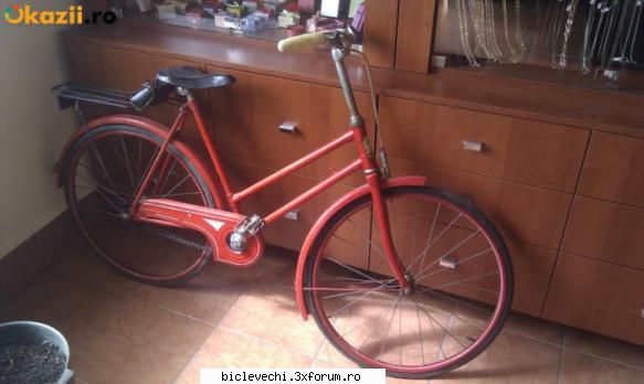 inca o bicicleta pionier: pionier