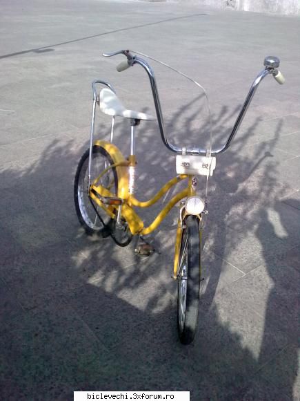 blonda mea pegas 51
